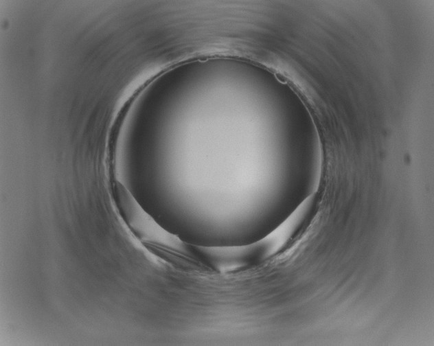 X0000073430902200607281148