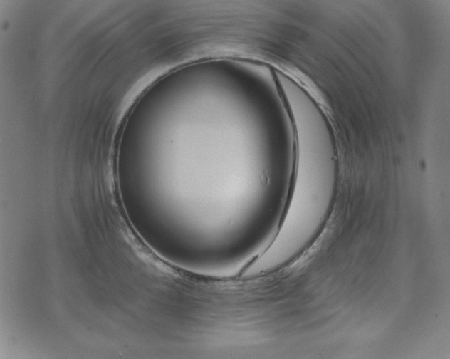 X0000073430904200607281148