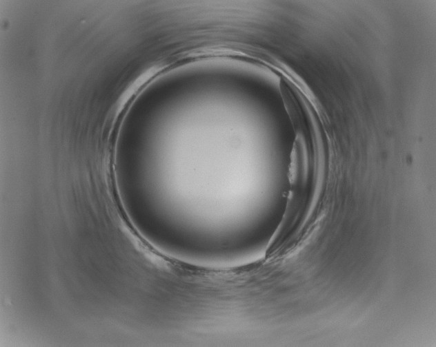 X0000073430909200607281148