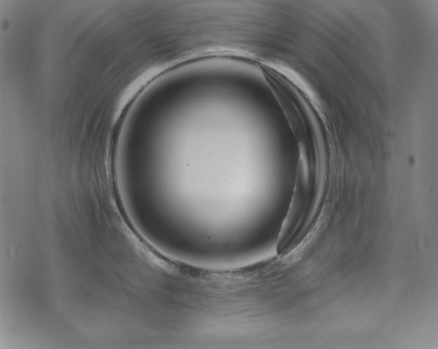 X0000073430910200607281148