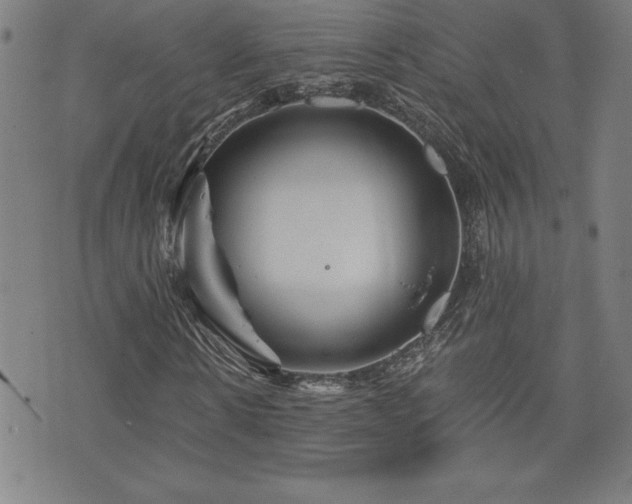 X0000073430914200607281147