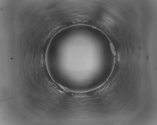 X0000073430915200607281147
