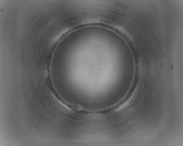 X0000073430929200607281147