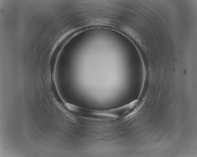X0000073430931200607281147