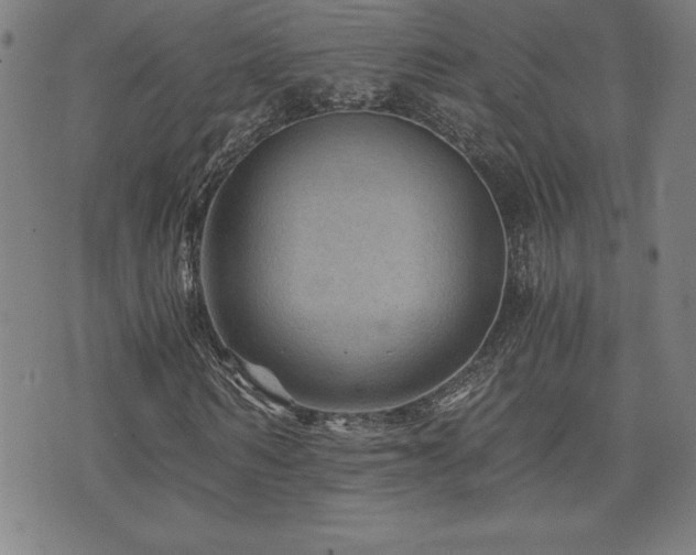 X0000073430962200607281147