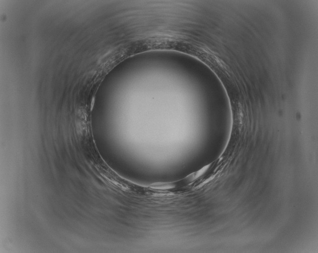 X0000073430964200607281147