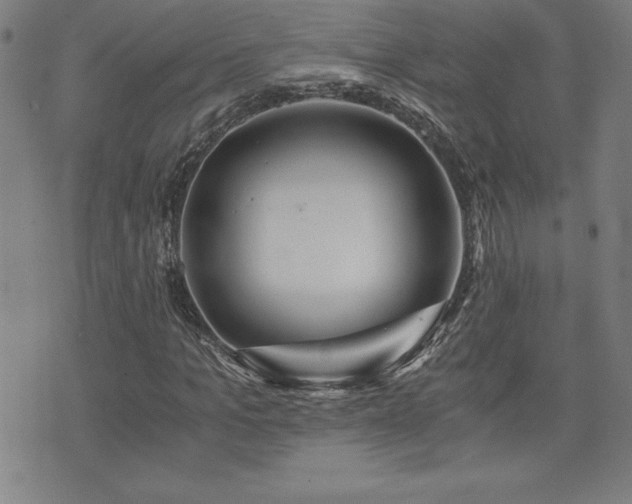 X0000073430965200607281147