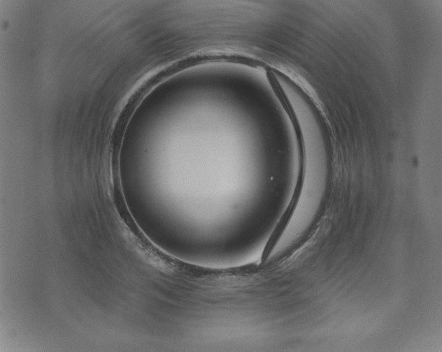 X0000073430984200607281147