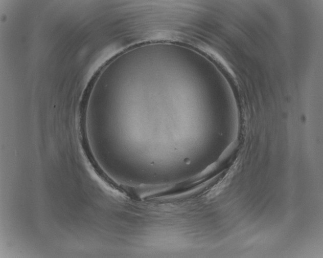 X0000073430991200607281147