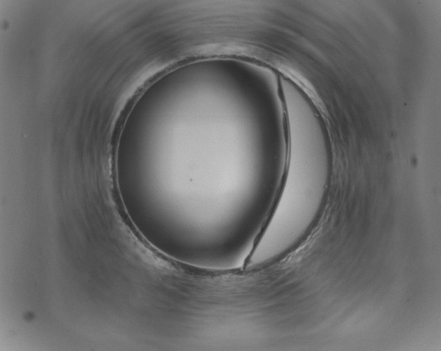 X0000073430992200607281147