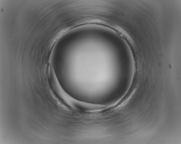 X0000073431001200607281146