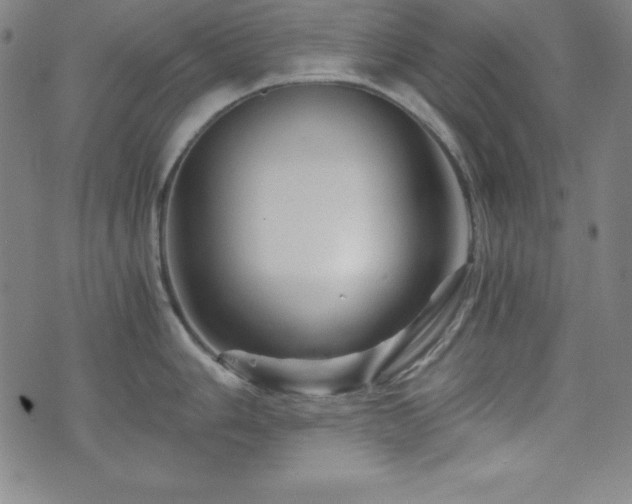 X0000073431006200607281146