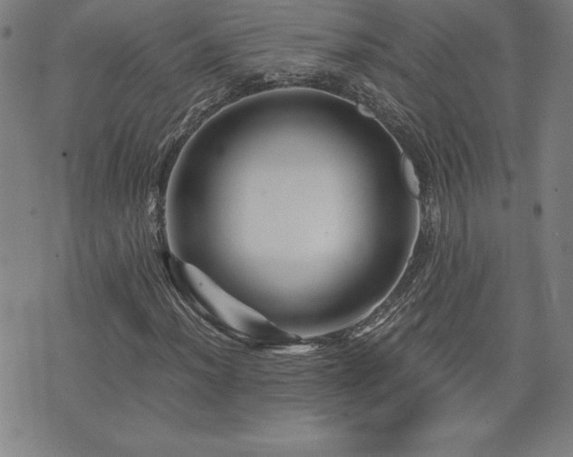X0000073431012200607281146