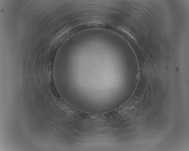 X0000073431015200607281146