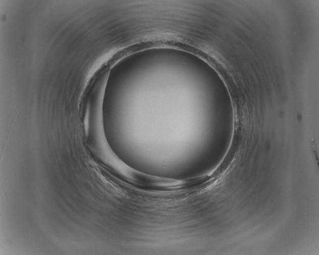 X0000073431022200607281146