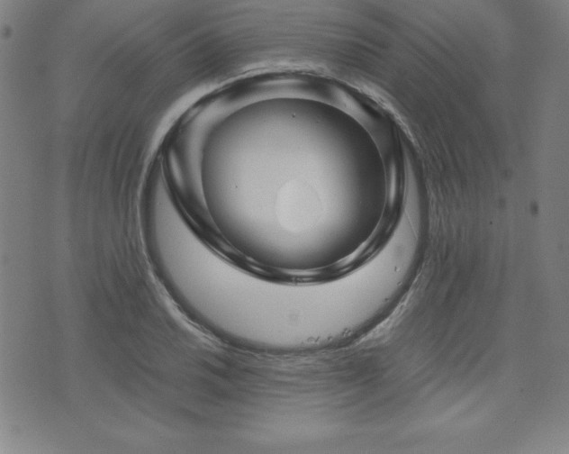 X0000073431030200607281146