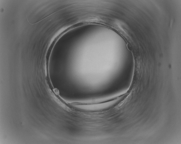 X0000073431036200607281146