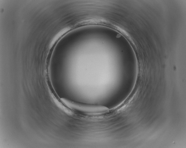 X0000073431042200607281146