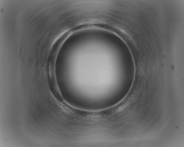 X0000073431073200607281145