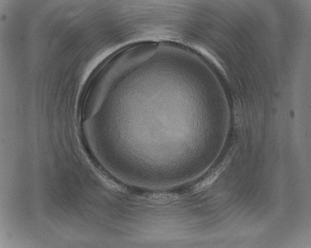 X0000073431077200607281145