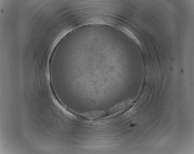 X0000073431084200607281145