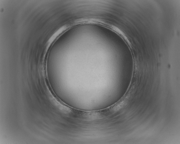 X0000073431090200607281145