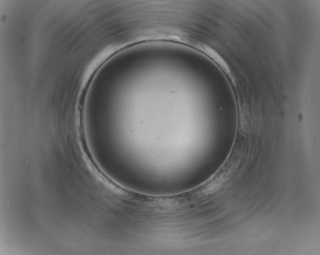 X0000073431096200607281145