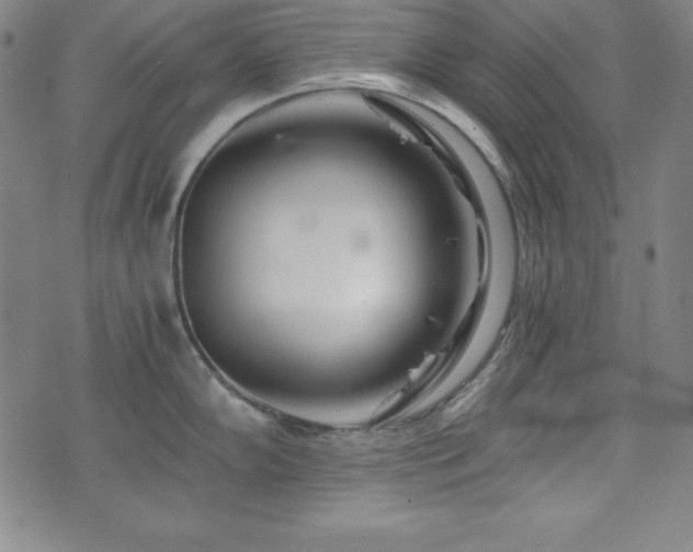 X0000073431102200607281145