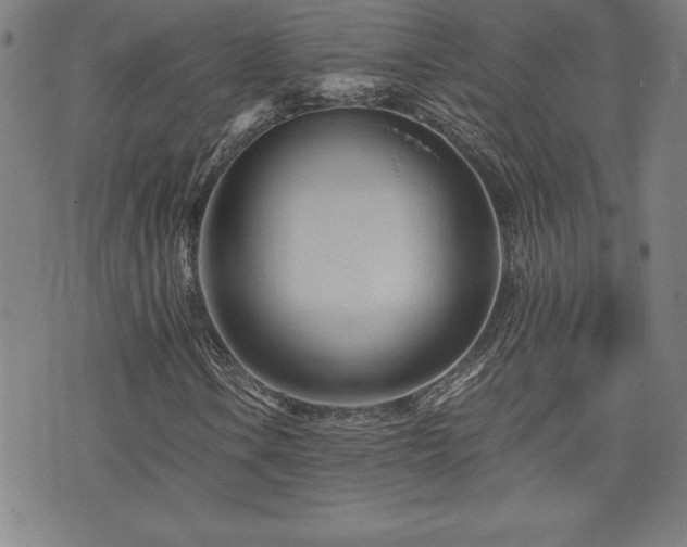 X0000073431106200607281144