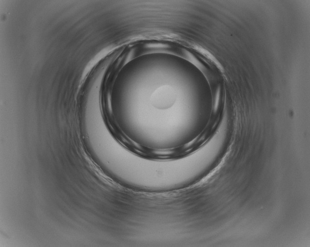 X0000073431114200607281144