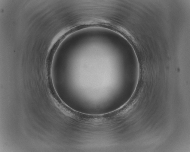 X0000073431122200607281144
