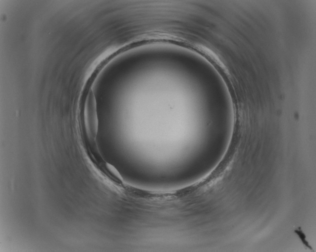 X0000073431133200607281144