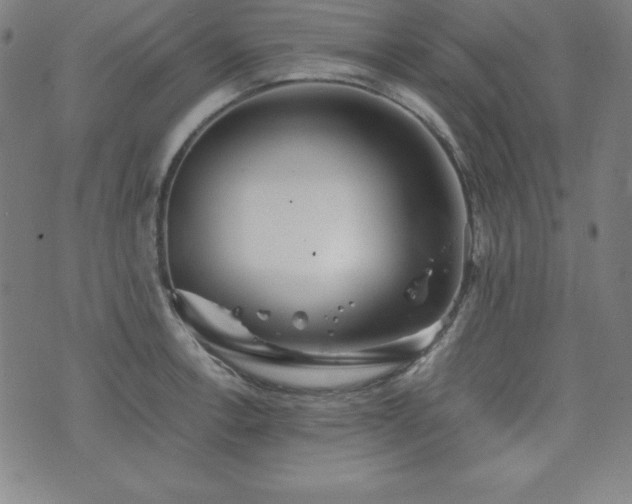 X0000073431138200607281145