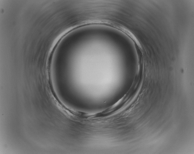 X0000073431148200607281145