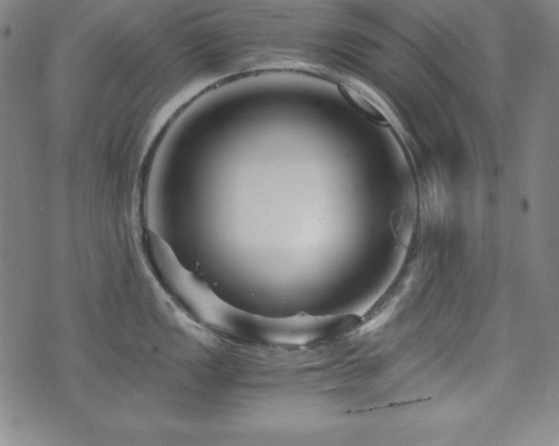 X0000073431149200607281145