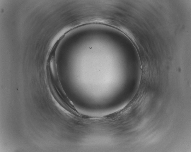 X0000073431151200607281145