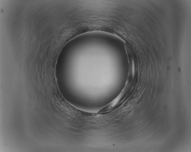 X0000073431153200607281144