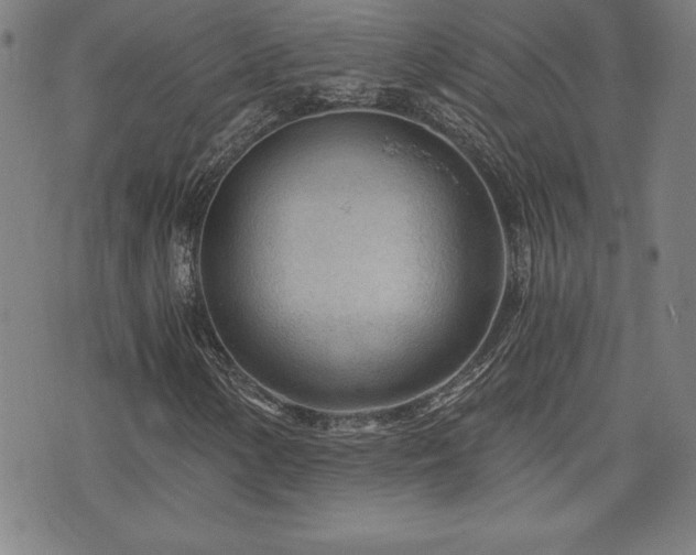 X0000073431154200607281144