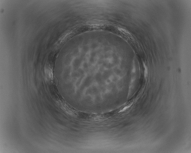 X0000073431155200607281144