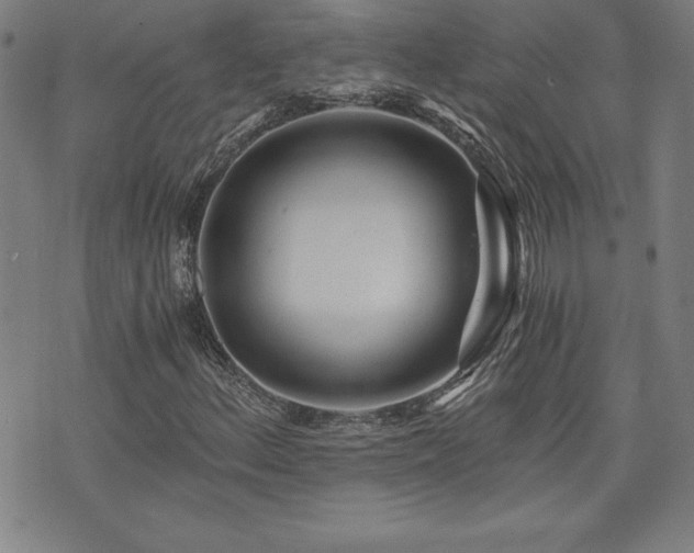 X0000073431156200607281144