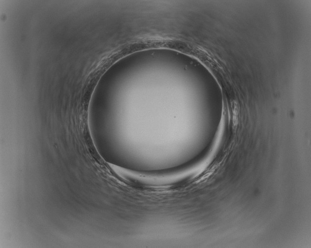 X0000073431157200607281144