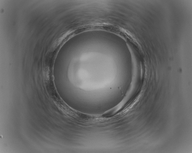X0000073431161200607281144