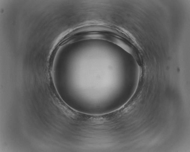 X0000073431168200607281144