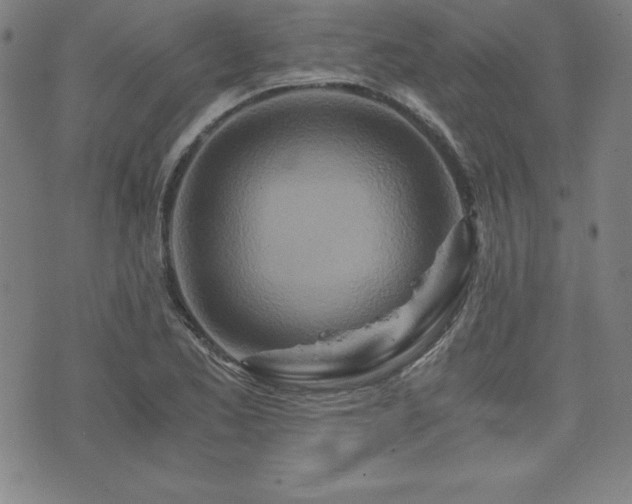 X0000073431173200607281144