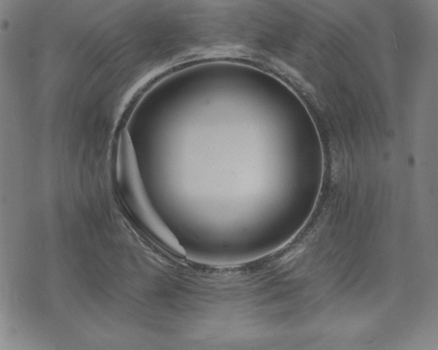 X0000073431174200607281144