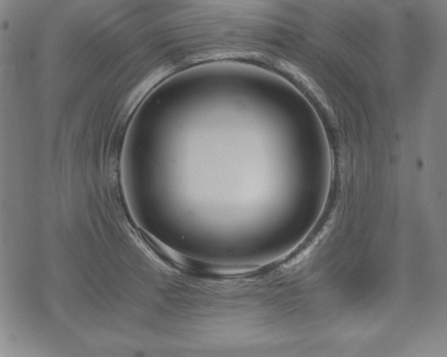 X0000073431185200607281143