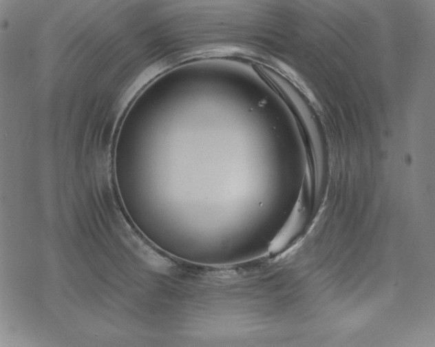 X0000073431186200607281143