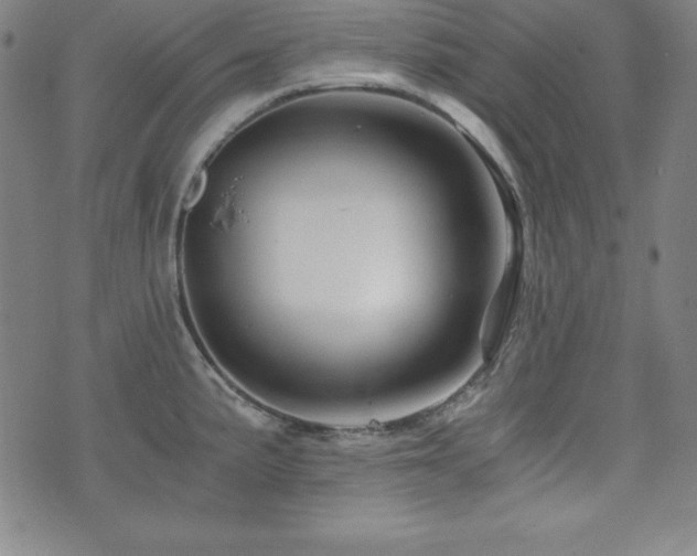 X0000073431191200607281143