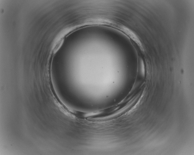 X0000073431192200607281143