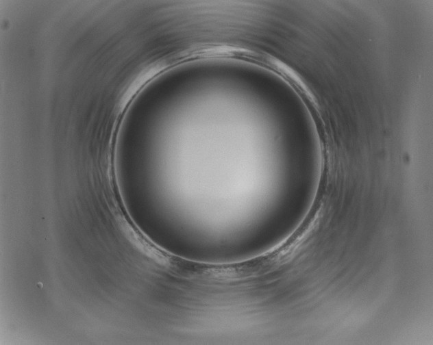 X0000073431194200607281143